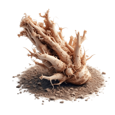 Valerian Root  (Корінь валеріани) іконка